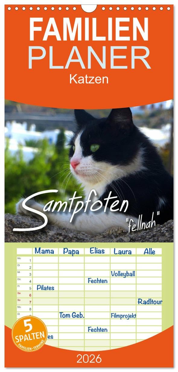 Familienplaner 2026 - SAMTPFOTEN "fellnah" mit 5 Spalten (Wandkalender, 21 cm x 45 cm), CALVENDO Natural Sciences