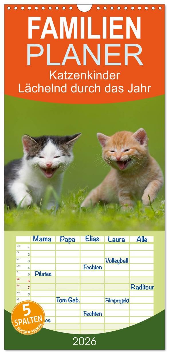Familienplaner 2026 - Lächelnd durchs Jahr - Katzenkinder -Familienplaner hoch mit 5 Spalten (Wandkalender, 21 cm x 45 cm), CALVENDO Living & Furnishing