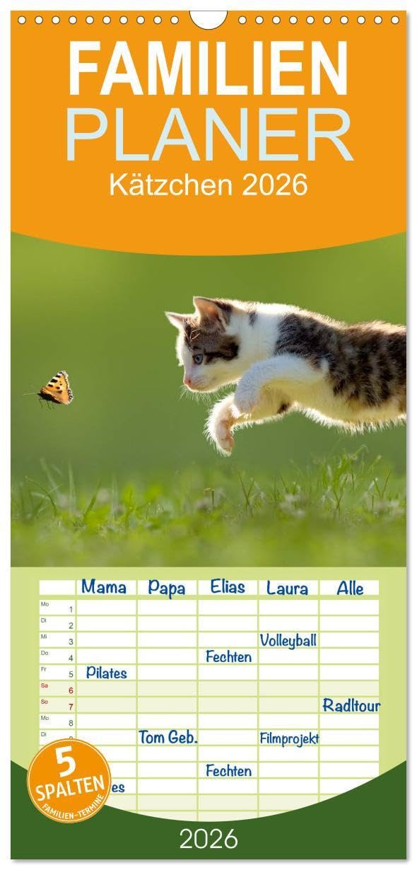 Familienplaner 2026 - Kätzchen 2026 mit 5 Spalten (Wandkalender, 21 x 45 cm) CALVENDO: Katzenkalender mit abwechslungsreichen und stimmungsvoll ... passend zur Jahreszeit. (CALVENDO Tiere) Living & Furnishing