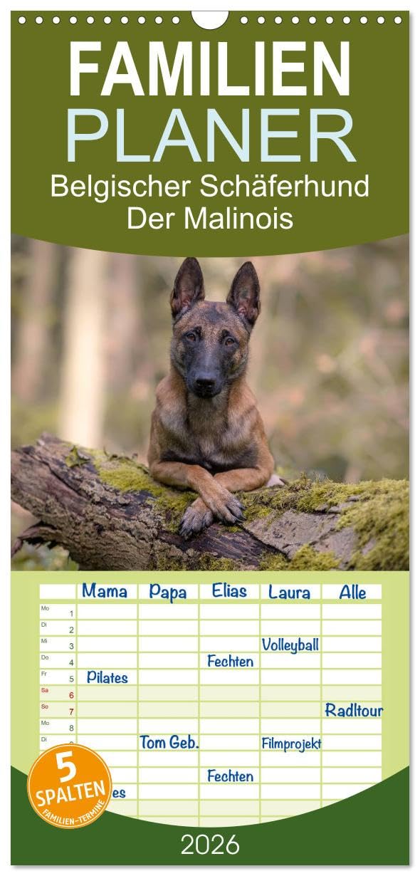 Familienplaner 2026 - Belgischer Schäferhund - Der Malinois mit 5 Spalten (Wandkalender, 21 cm x 45 cm), CALVENDO Natural Sciences