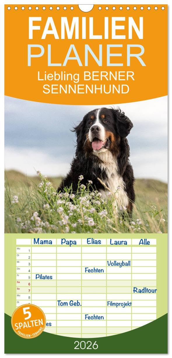 Familienplaner 2026 - Liebling BERNER SENNENHUND mit 5 Spalten (Wandkalender, 21 cm x 45 cm), CALVENDO Living & Furnishing