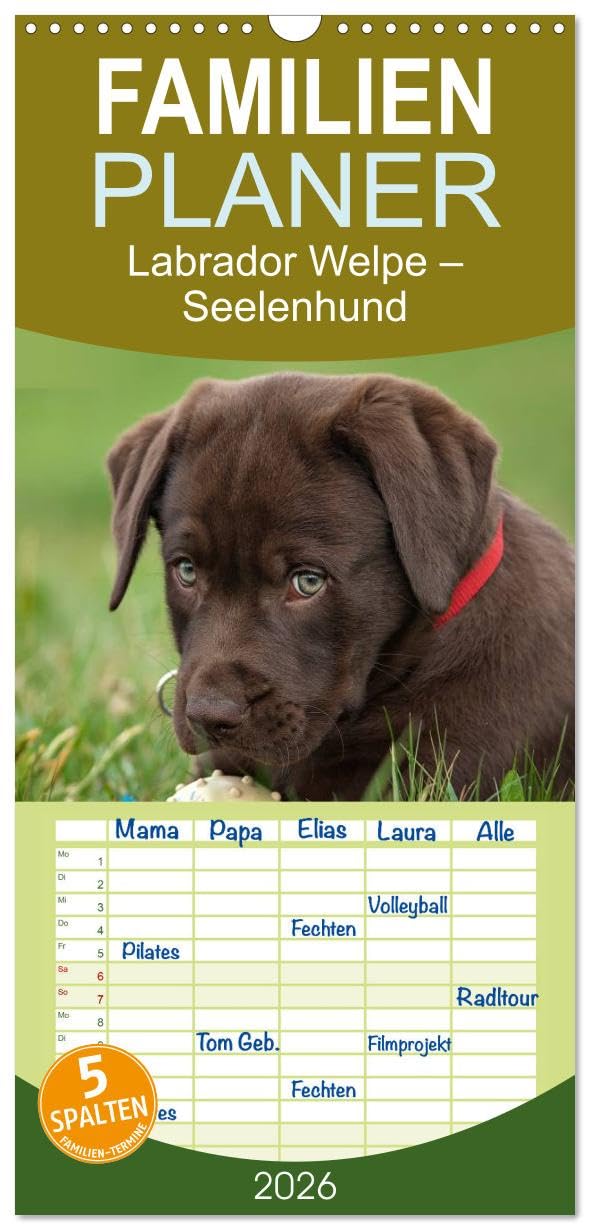 Familienplaner 2026 - Labrador Welpe – Seelenhund mit 5 Spalten (Wandkalender, 21 cm x 45 cm), CALVENDO Film, Art & Culture