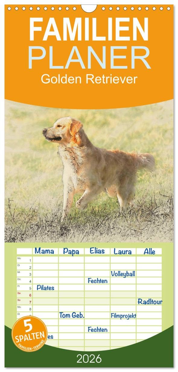 Familienplaner 2026 - Golden Retriever mit 5 Spalten (Wandkalender, 21 cm x 45 cm), CALVENDO Natural Sciences