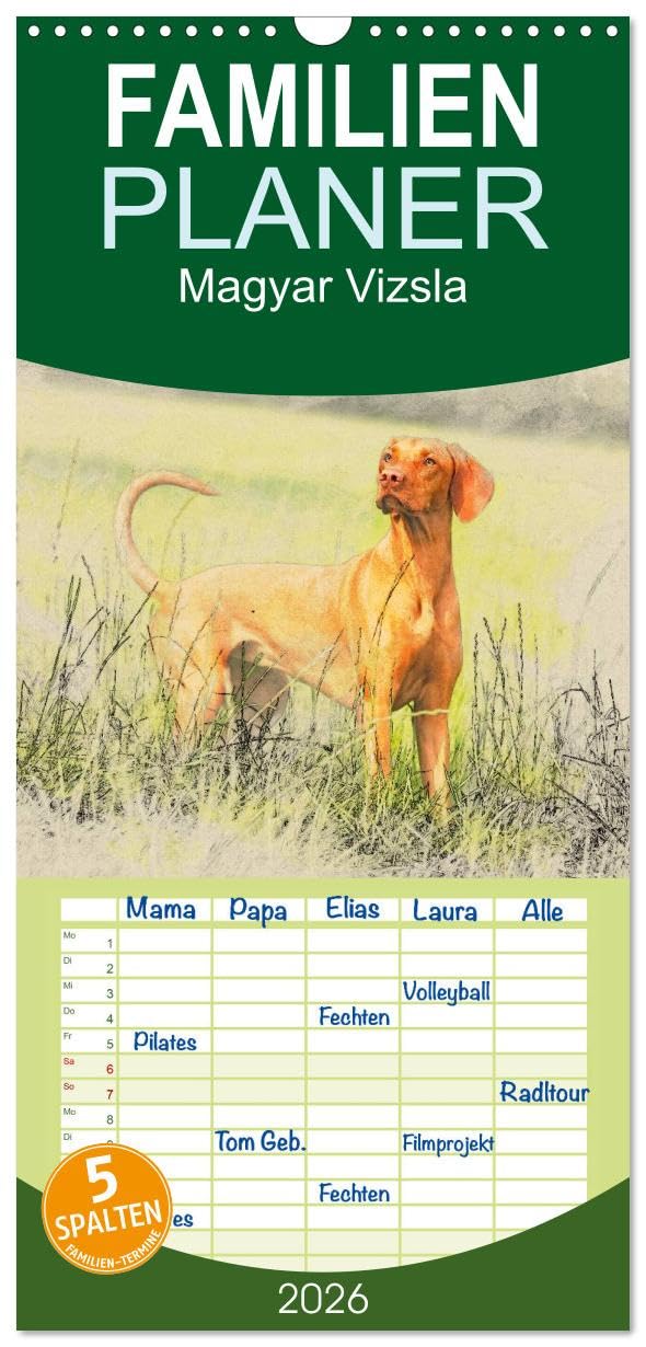 Familienplaner 2026 - Magyar Vizsla 2026 mit 5 Spalten (Wandkalender, 21 cm x 45 cm), CALVENDO Natural Sciences