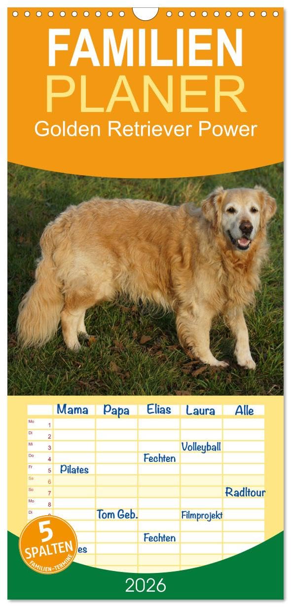 Familienplaner 2026 - Golden Retriever Power mit 5 Spalten (Wandkalender, 21 cm x 45 cm), CALVENDO Natural Sciences