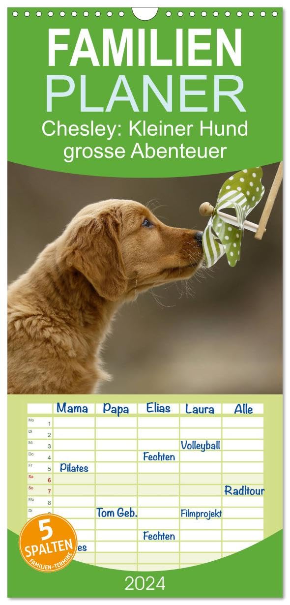 Familienplaner 2026 - Chesley Kleiner Hund grosse Abenteuer mit 5 Spalten (Wandkalender, 21 cm x 45 cm), CALVENDO Contemporary literature