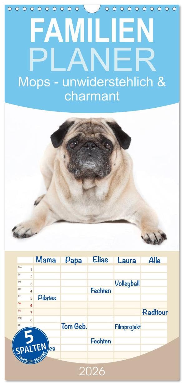 Familienplaner 2026 - Mops - unwiderstehlich und charmant mit 5 Spalten (Wandkalender, 21 cm x 45 cm), CALVENDO Pets