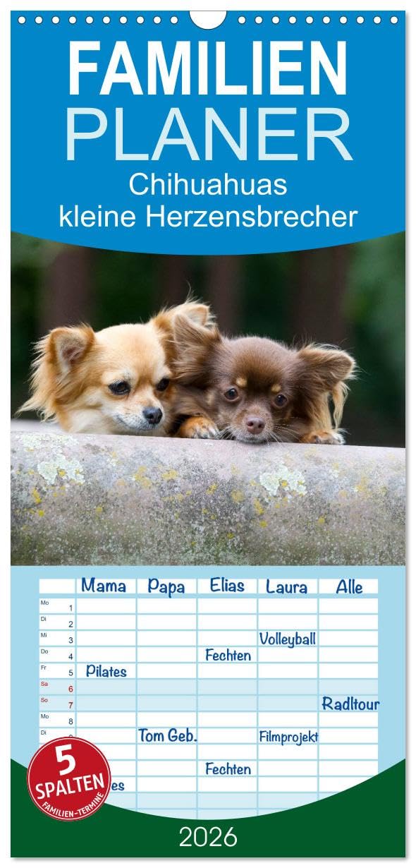 Familienplaner 2026 - Chihuahuas - kleine Herzensbrecher mit 5 Spalten (Wandkalender, 21 cm x 45 cm), CALVENDO Pets