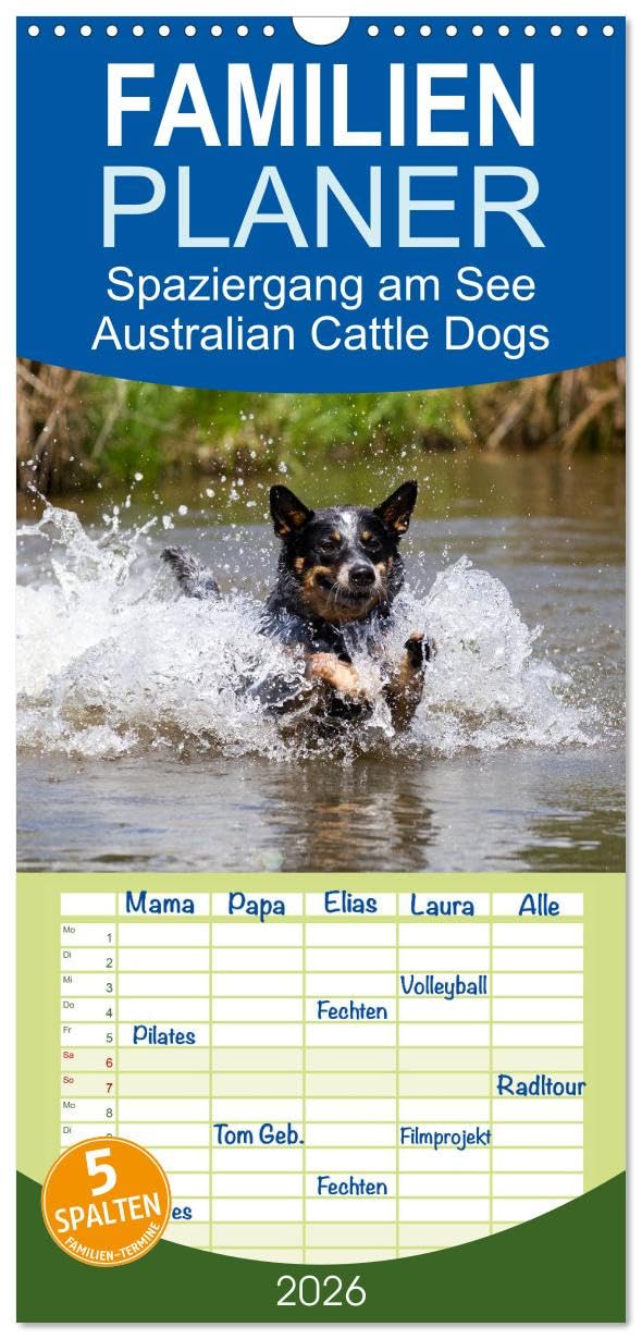 Familienplaner 2026 - Spaziergang am See Australian Cattle Dogs mit 5 Spalten (Wandkalender, 21 cm x 45 cm), CALVENDO Living & Furnishing