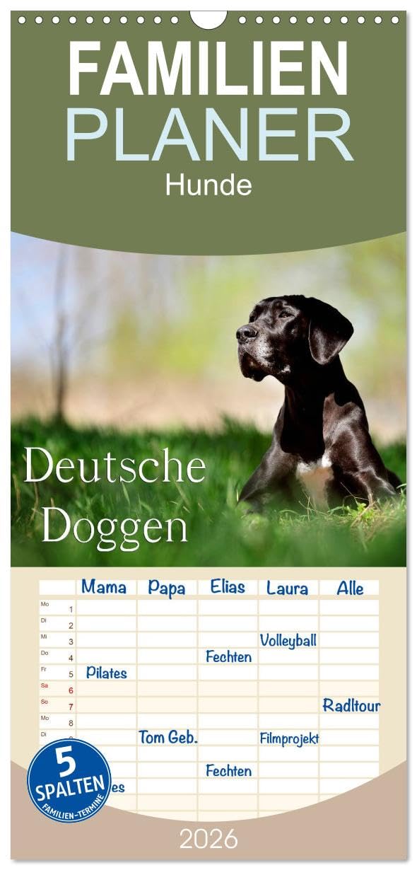 Familienplaner 2026 - Deutsche Doggen/Geburtstagskalender mit 5 Spalten (Wandkalender, 21 cm x 45 cm), CALVENDO Natural Sciences