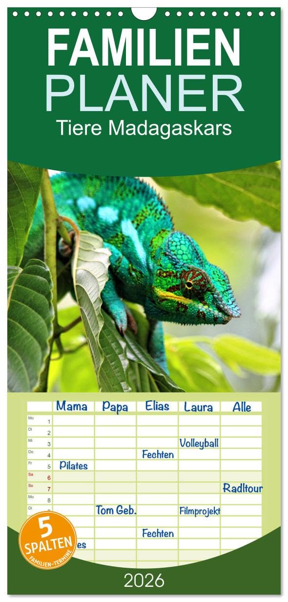 Familienplaner 2026 - Tiere Madagaskars mit 5 Spalten (Wandkalender, 21 cm x 45 cm), CALVENDO Natural Sciences