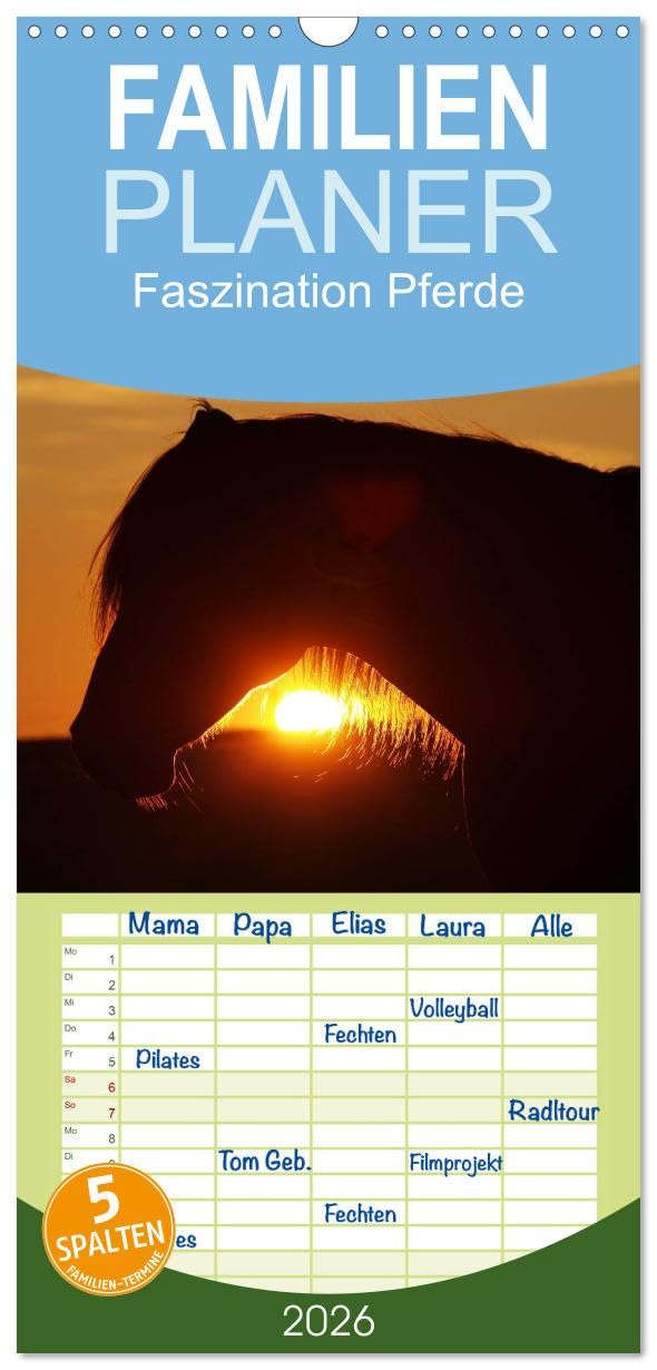 Familienplaner 2026 - Faszination Pferde mit 5 Spalten (Wandkalender, 21 cm x 45 cm), CALVENDO Natural Sciences