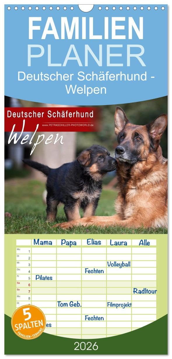 Familienplaner 2026 - Deutscher Schäferhund - Welpen mit 5 Spalten (Wandkalender, 21 cm x 45 cm), CALVENDO Natural Sciences