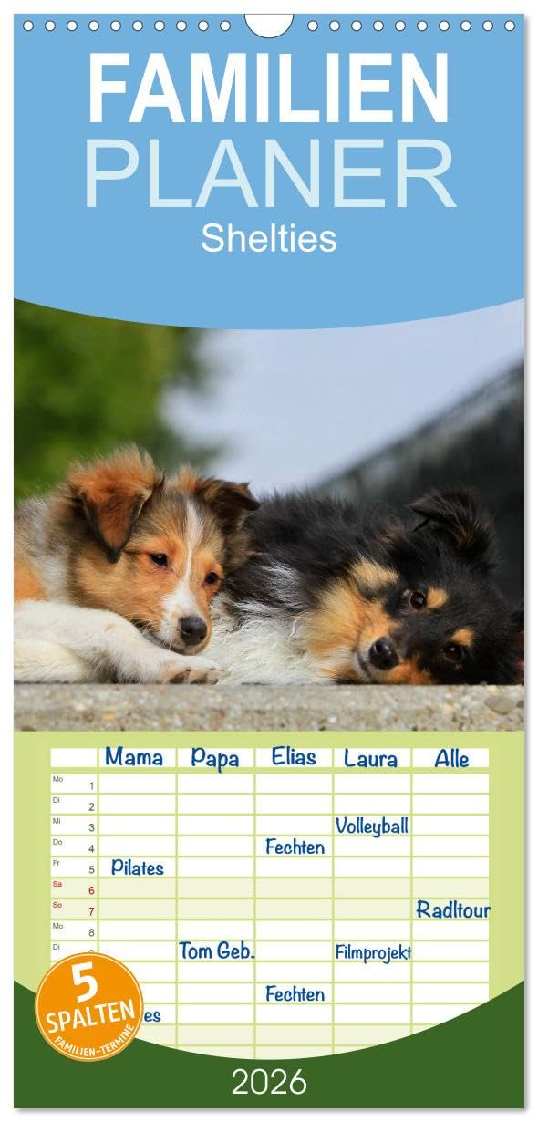 Familienplaner 2026 - Shelties 2026 mit 5 Spalten (Wandkalender, 21 cm x 45 cm), CALVENDO Pets