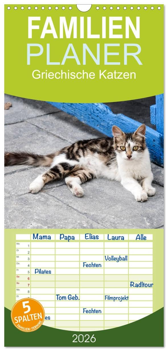 Familienplaner 2026 - Griechische Katzen mit 5 Spalten (Wandkalender, 21 cm x 45 cm), CALVENDO Natural Sciences