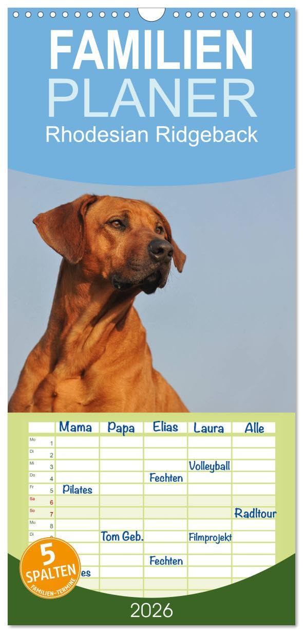 Familienplaner 2026 - Rhodesian Ridgeback 2026 mit 5 Spalten (Wandkalender, 21 cm x 45 cm), CALVENDO Natural Sciences