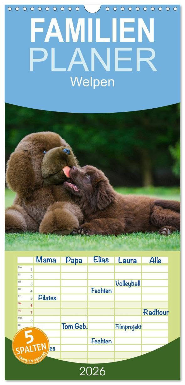 Familienplaner 2026 - Welpen 2026 mit 5 Spalten (Wandkalender, 21 cm x 45 cm), CALVENDO Natural Sciences