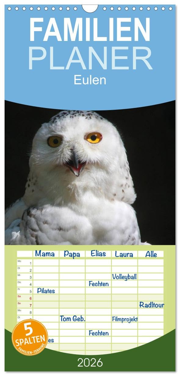 Familienplaner 2026 - Eulen mit 5 Spalten (Wandkalender, 21 cm x 45 cm), CALVENDO Natural Sciences