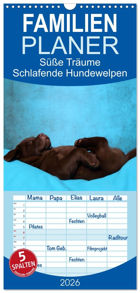 Familienplaner 2026 - Süße Träume 2026 - schlafende Hundewelpen mit 5 Spalten (Wandkalender, 21 cm x 45 cm), CALVENDO Living & Furnishing