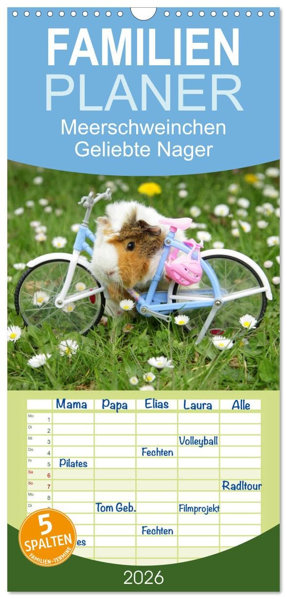 Familienplaner 2026 - Meerschweinchen. Geliebte Nager mit 5 Spalten (Wandkalender, 21 cm x 45 cm), CALVENDO Film, Art & Culture
