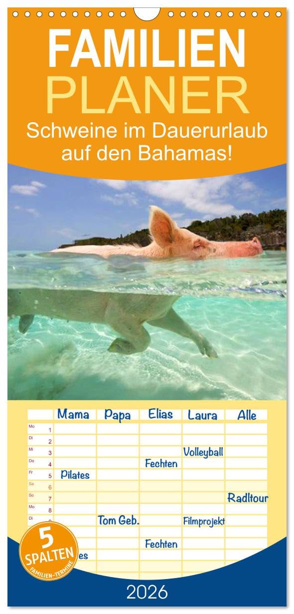 Familienplaner 2026 - Schweine im Dauerurlaub auf den Bahamas! mit 5 Spalten (Wandkalender, 21 cm x 45 cm), CALVENDO Film, Art & Culture