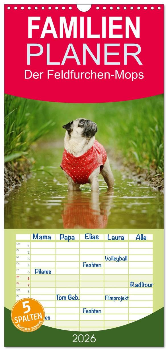 Familienplaner 2026 - Der Feldfurchen-Mops mit 5 Spalten (Wandkalender, 21 cm x 45 cm), CALVENDO Living & Furnishing