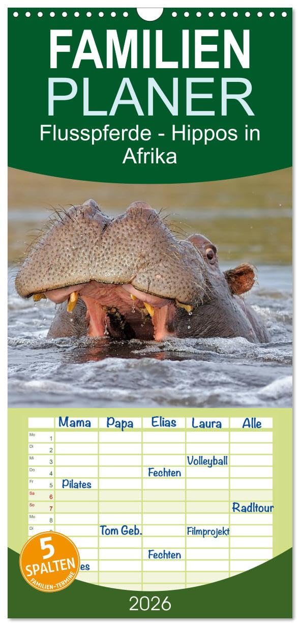 Familienplaner 2026 - Flusspferde Magie des Augenblicks - Hippos in Afrika mit 5 Spalten (Wandkalender, 21 cm x 45 cm), CALVENDO Natural Sciences