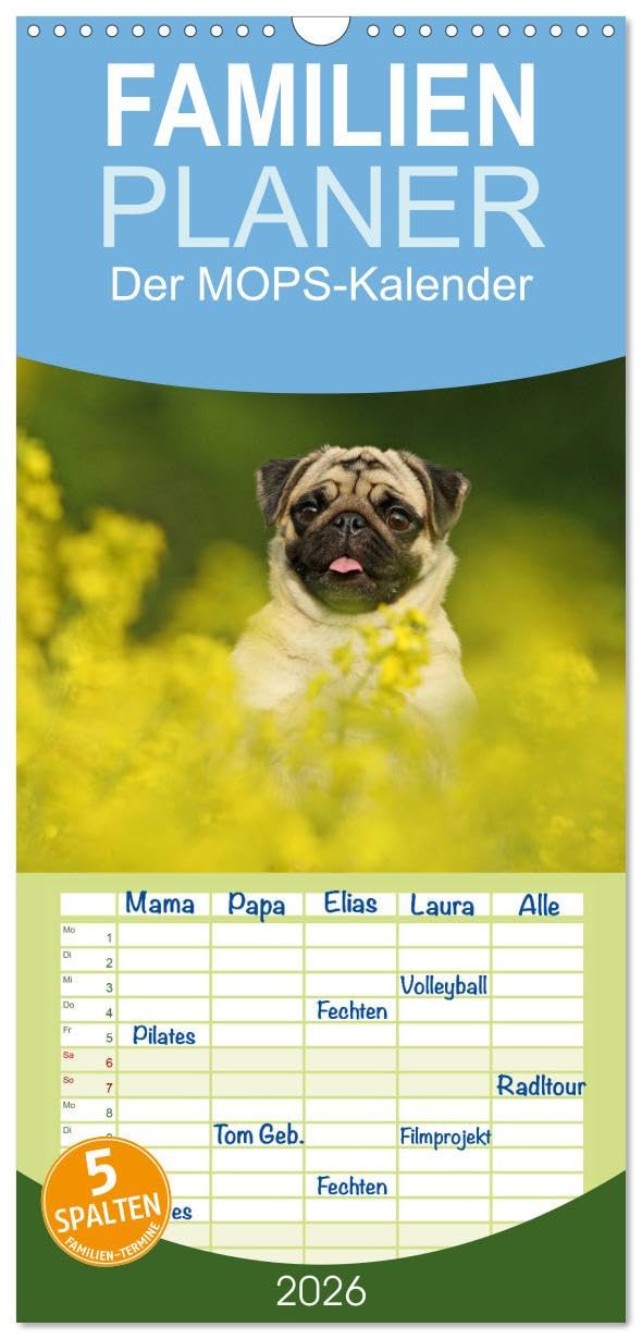 Familienplaner 2026 - Der MOPS-Kalender mit 5 Spalten (Wandkalender, 21 cm x 45 cm), CALVENDO Pets