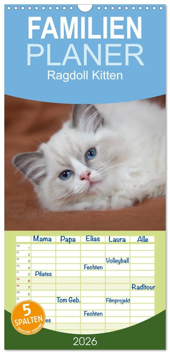 Familienplaner 2026 - Ragdoll Kitten mit 5 Spalten (Wandkalender, 21 cm x 45 cm), CALVENDO Pets