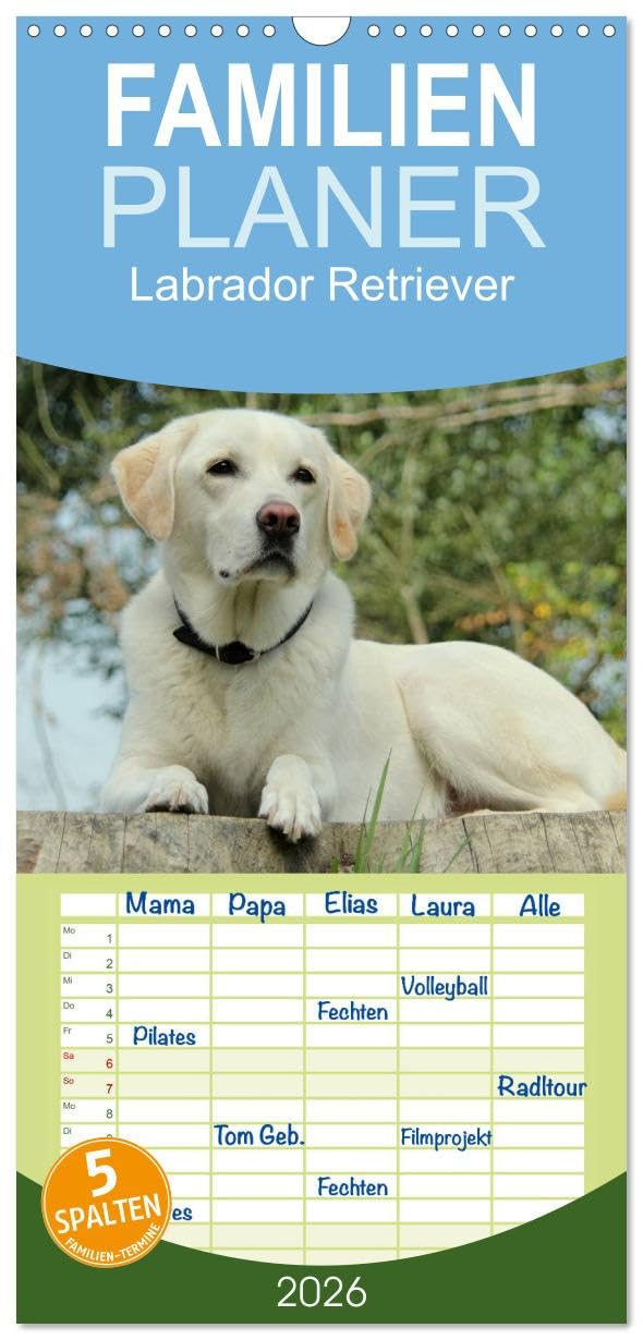 Familienplaner 2026 - Labrador Retriever 2026 mit 5 Spalten (Wandkalender, 21 cm x 45 cm), CALVENDO Living & Furnishing