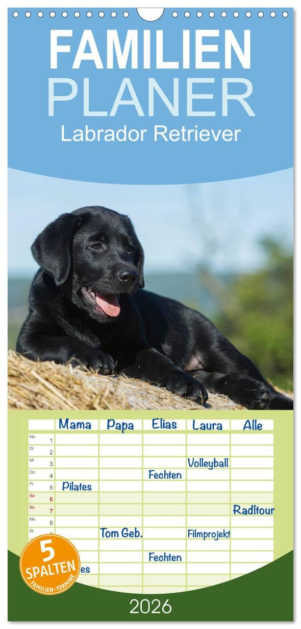 Familienplaner 2026 - Labrador Retriever 2026 mit 5 Spalten (Wandkalender, 21 cm x 45 cm), CALVENDO Natural Sciences
