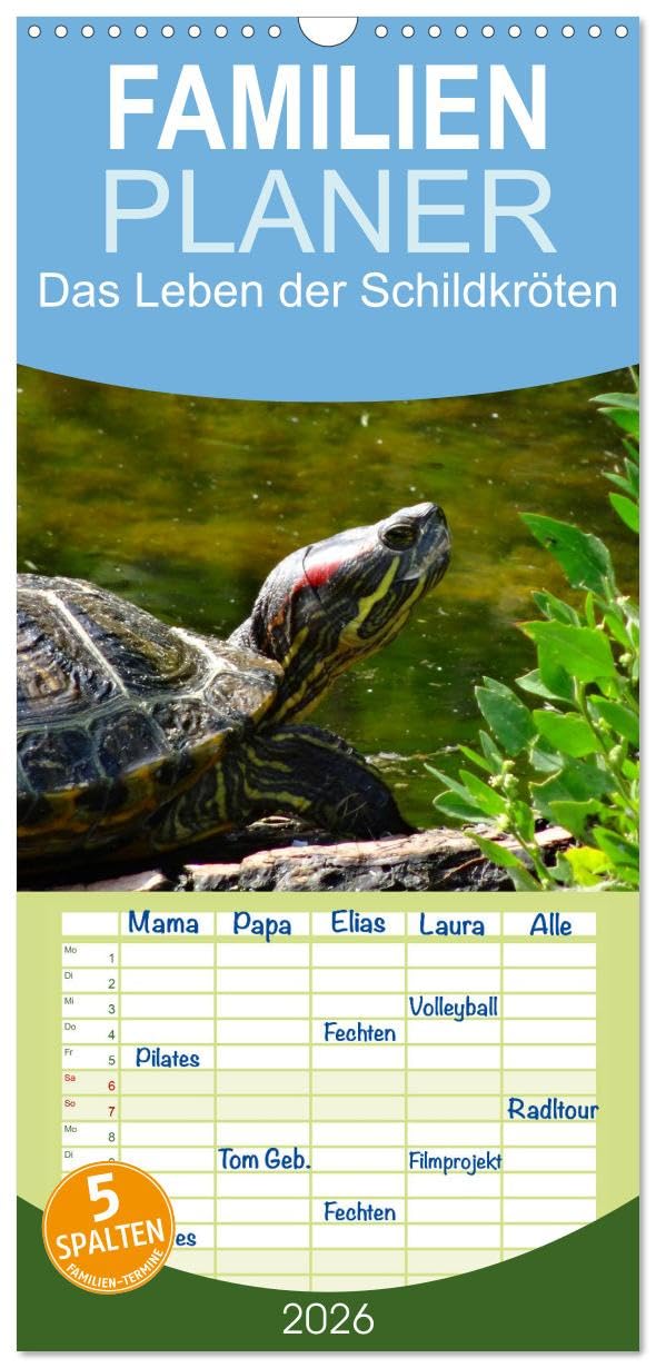 Familienplaner 2026 - Das Leben der Schildkröten mit 5 Spalten (Wandkalender, 21 cm x 45 cm), CALVENDO Living & Furnishing