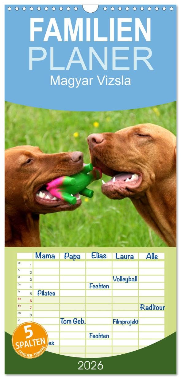 Familienplaner 2026 - Magyar Vizsla mit 5 Spalten (Wandkalender, 21 cm x 45 cm), CALVENDO Living & Furnishing
