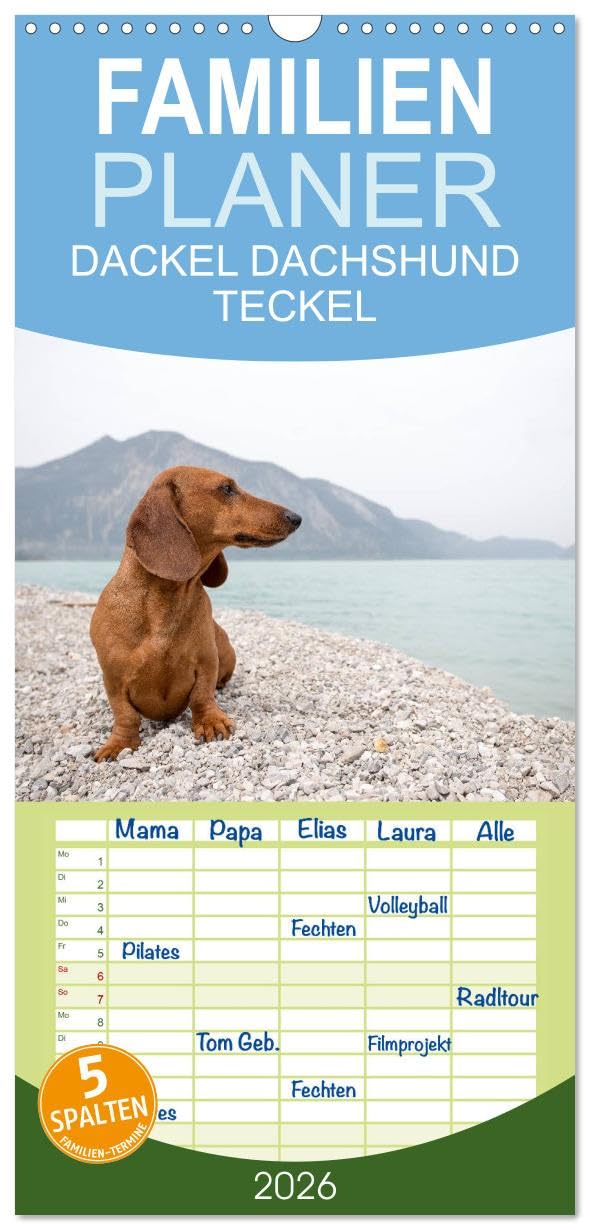 Familienplaner 2026 - DACKEL DACHSHUND TECKEL 2026 mit 5 Spalten (Wandkalender, 21 cm x 45 cm), CALVENDO Natural Sciences