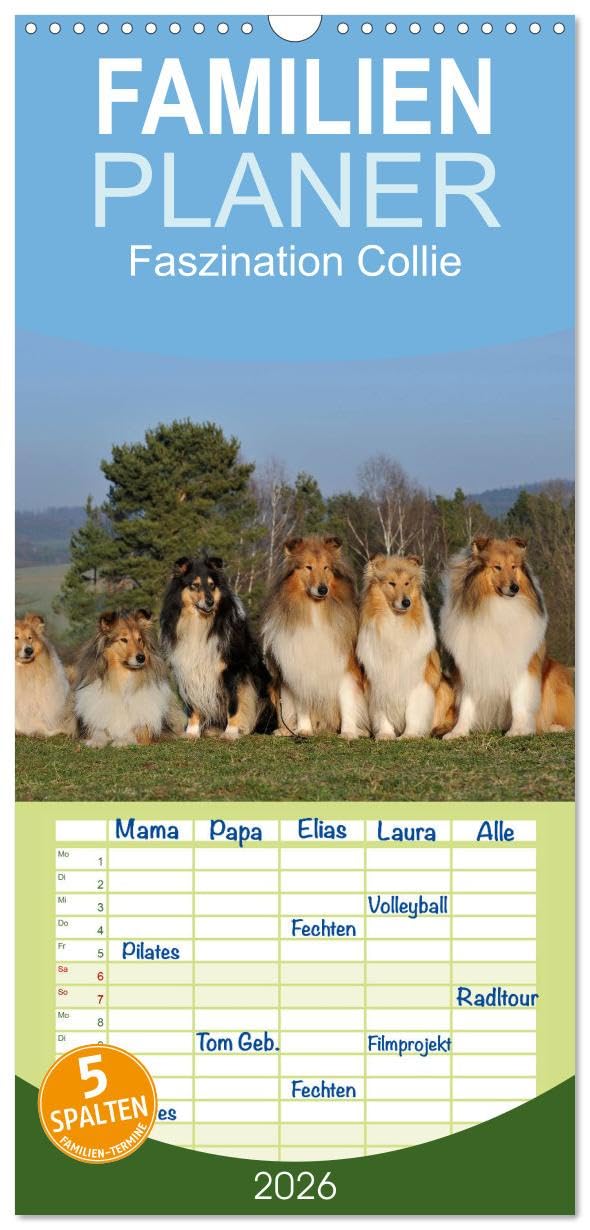 Familienplaner 2026 - Faszination Collie 2026 mit 5 Spalten (Wandkalender, 21 cm x 45 cm), CALVENDO Natural Sciences