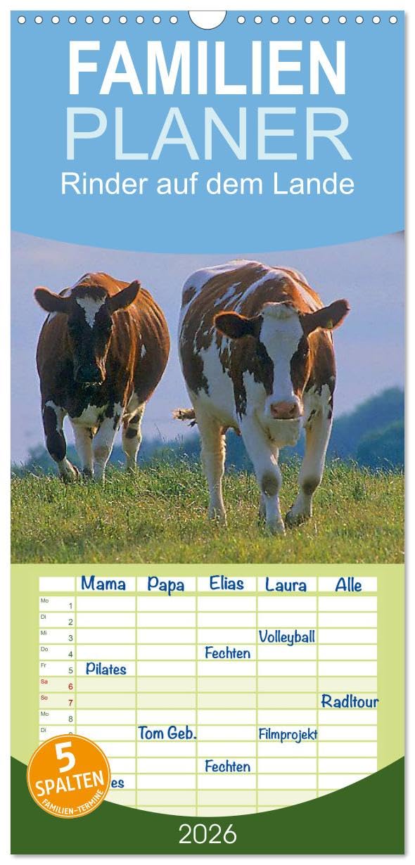 Familienplaner 2026 - Rinder auf dem Lande mit 5 Spalten (Wandkalender, 21 cm x 45 cm), CALVENDO Natural Sciences