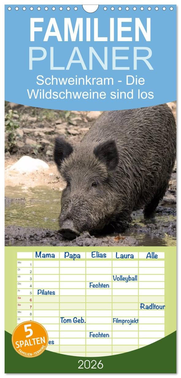 Familienplaner 2026 - Schweinkram - Die Wildschweine sind los mit 5 Spalten (Wandkalender, 21 cm x 45 cm), CALVENDO Natural Sciences