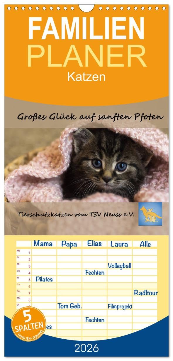 Familienplaner 2026 - Tierschutzkatzen vom TSV-Neuss - Großes Glück auf sanften Pfoten mit 5 Spalten (Wandkalender, 21 cm x 45 cm), CALVENDO Natural Sciences