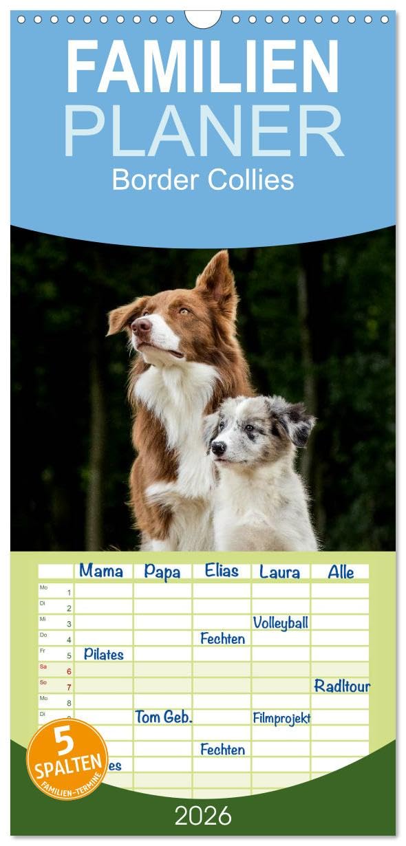 Familienplaner 2026 - Border Collies 2026 mit 5 Spalten (Wandkalender, 21 cm x 45 cm), CALVENDO Natural Sciences