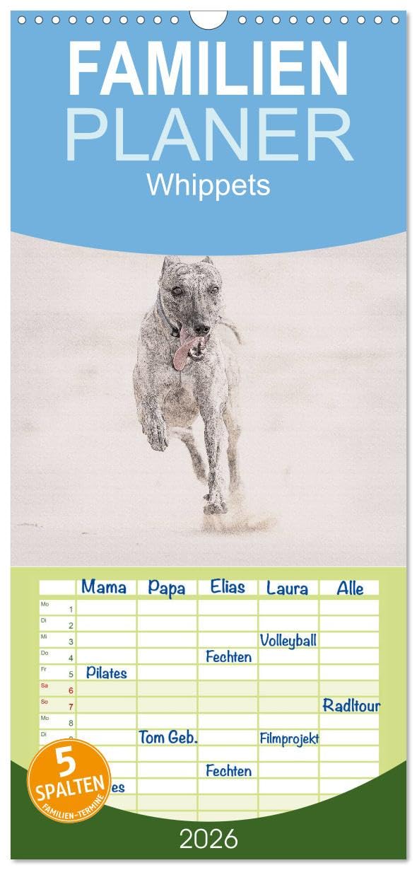 Familienplaner 2026 - Whippet 2026 mit 5 Spalten (Wandkalender, 21 cm x 45 cm), CALVENDO Natural Sciences