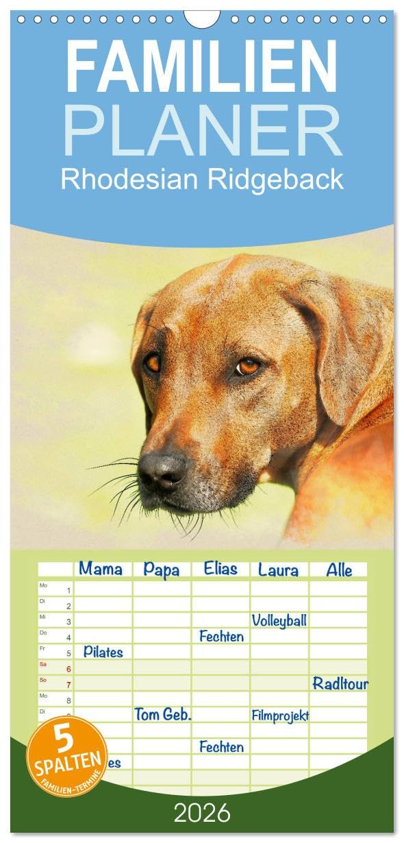 Familienplaner 2026 - Rhodesian Ridgeback 2026 mit 5 Spalten (Wandkalender, 21 cm x 45 cm), CALVENDO Natural Sciences