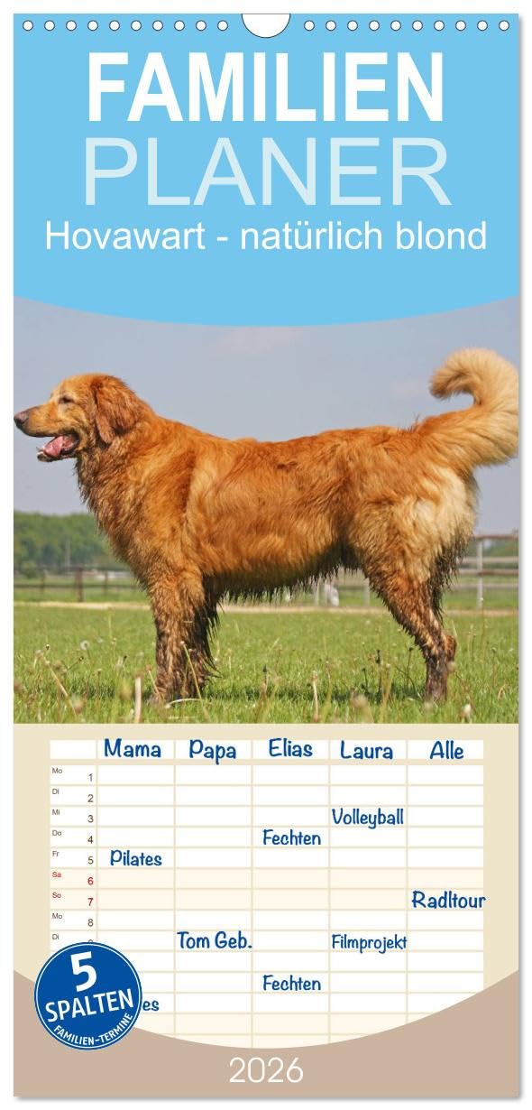 Familienplaner 2026 - Hovawart - natürlich blond mit 5 Spalten (Wandkalender, 21 cm x 45 cm), CALVENDO Living & Furnishing