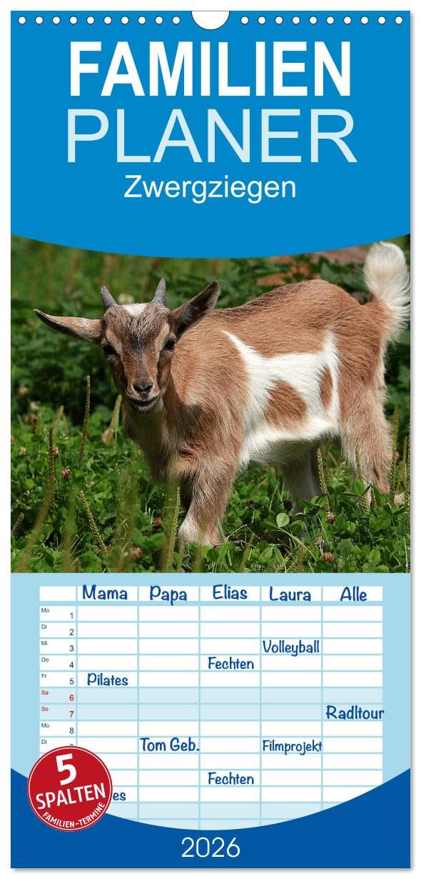 Familienplaner 2026 - Zwergziegen mit 5 Spalten (Wandkalender, 21 cm x 45 cm), CALVENDO Lifestyle
