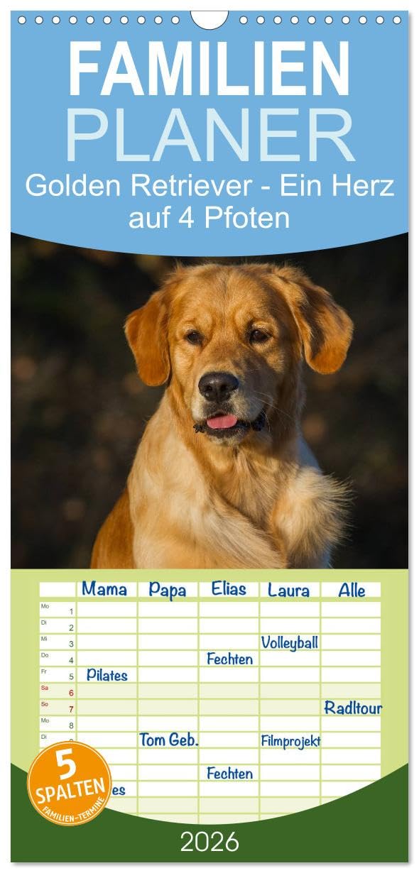 Familienplaner 2026 - Golden Retriever - Ein Herz auf 4 Pfoten mit 5 Spalten (Wandkalender, 21 cm x 45 cm), CALVENDO Natural Sciences