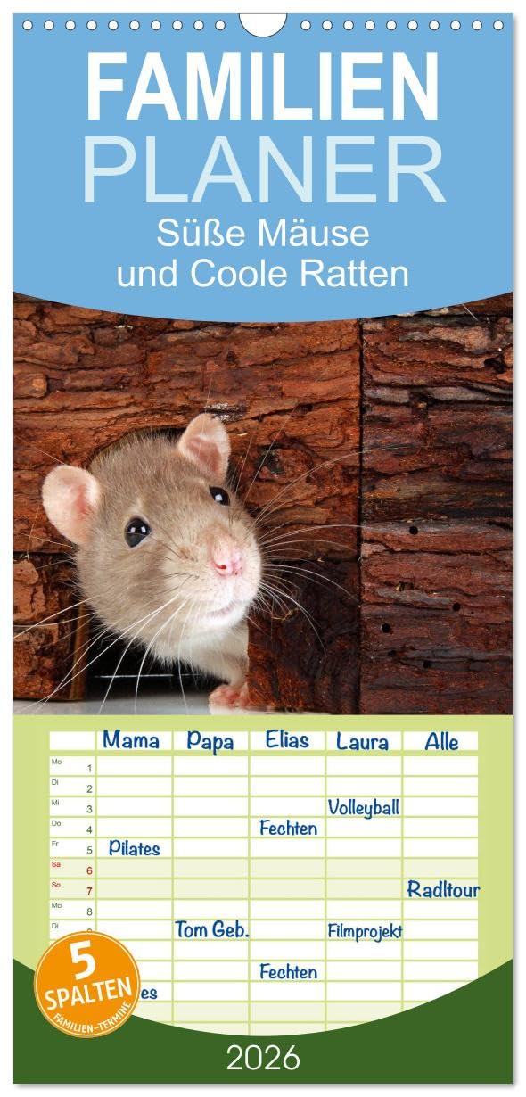 Familienplaner 2026 - Süße Mäuse und Coole Ratten mit 5 Spalten (Wandkalender, 21 cm x 45 cm), CALVENDO Pets