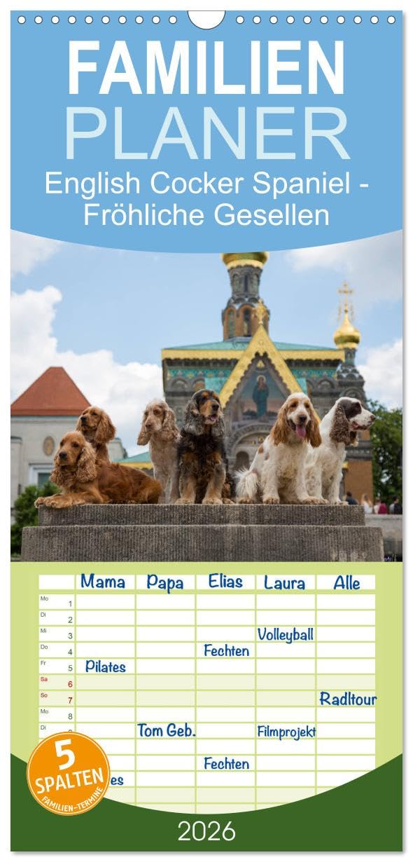 Familienplaner 2026 - English Cocker Spaniel - Fröhliche Gesellen mit 5 Spalten (Wandkalender, 21 cm x 45 cm), CALVENDO Lifestyle
