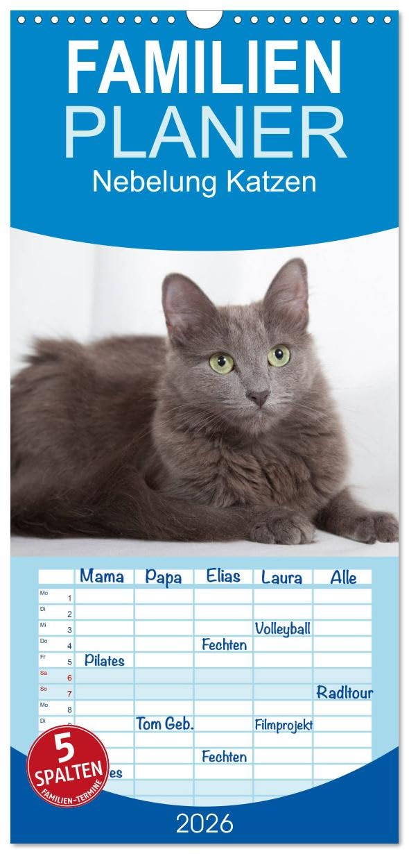 Familienplaner 2026 - Nebelung Katzen mit 5 Spalten (Wandkalender, 21 cm x 45 cm), CALVENDO Pets