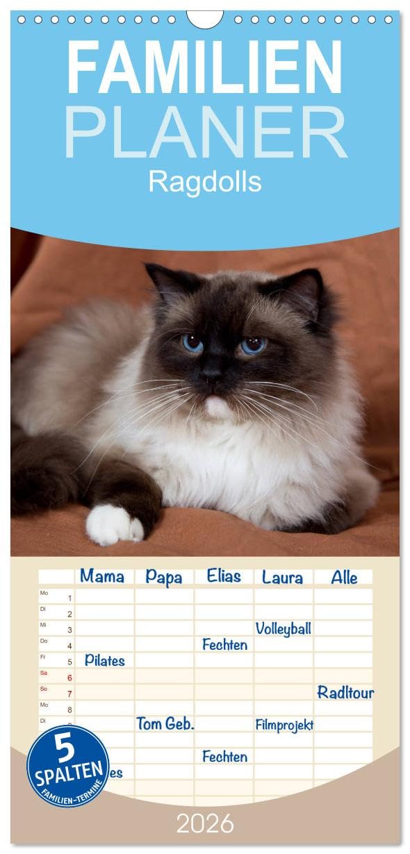 Familienplaner 2026 - Ragdolls mit 5 Spalten (Wandkalender, 21 cm x 45 cm), CALVENDO Pets