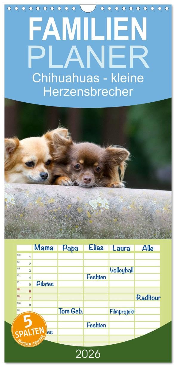 Familienplaner 2026 - Chihuahuas - kleine Herzensbrecher mit 5 Spalten (Wandkalender, 21 cm x 45 cm), CALVENDO Pets