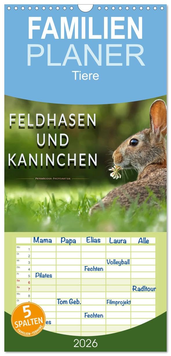 Familienplaner 2026 - Feldhasen und Kaninchen mit 5 Spalten (Wandkalender, 21 cm x 45 cm), CALVENDO Pets